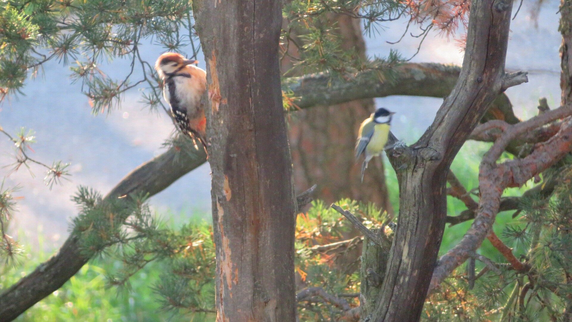 Valokuvaaja: Risto Kangassalo