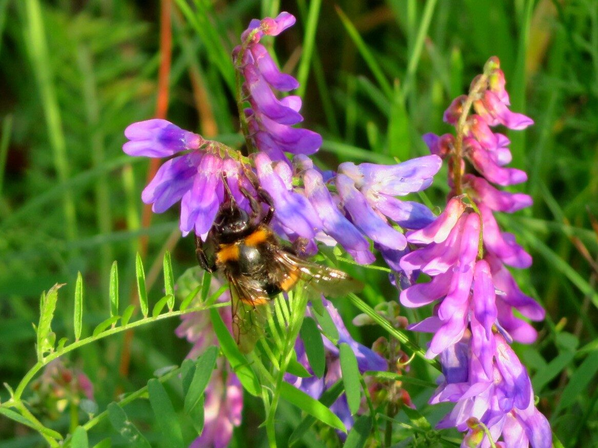 Valokuvaaja: Risto Kangassalo