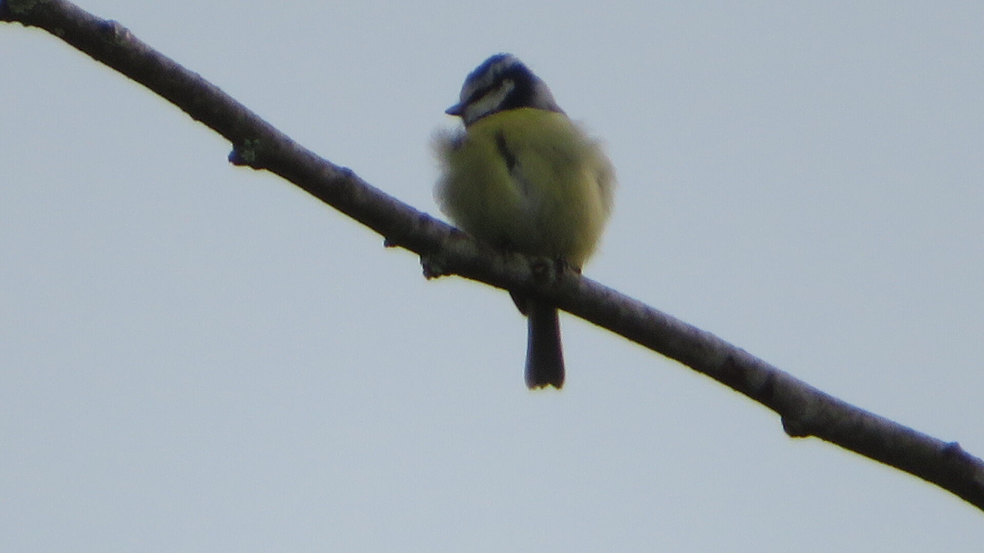 Valokuvaaja: Risto Kangassalo