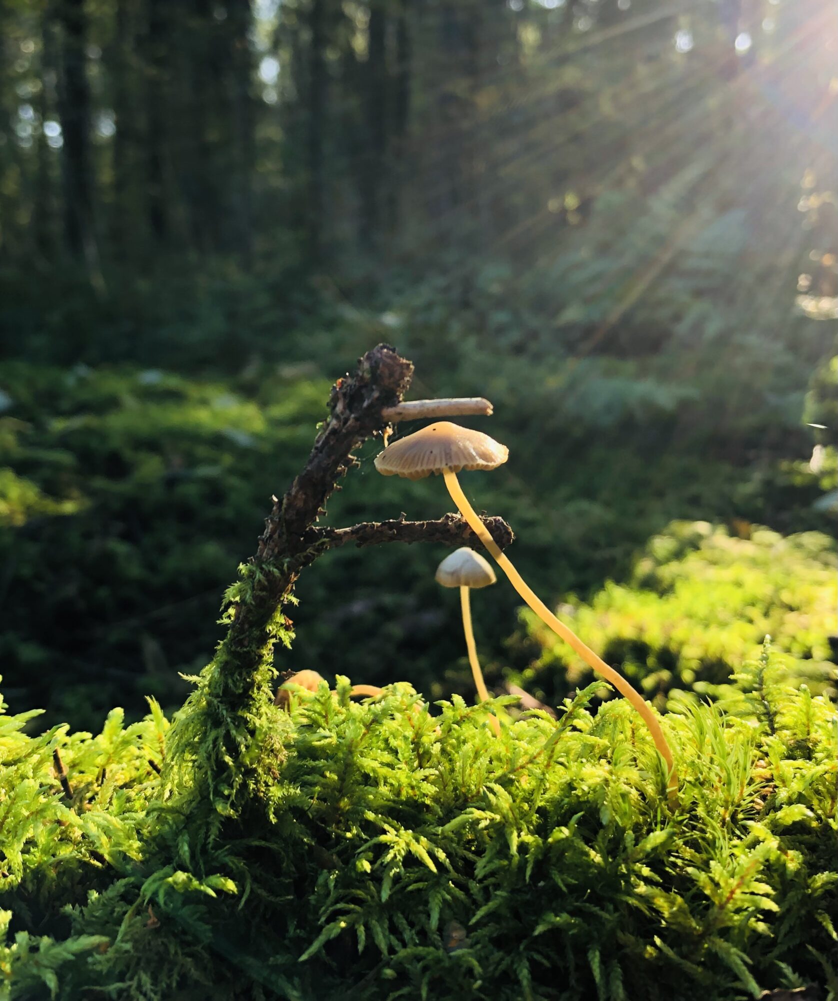 Valokuvaaja: Minna Blomqvist