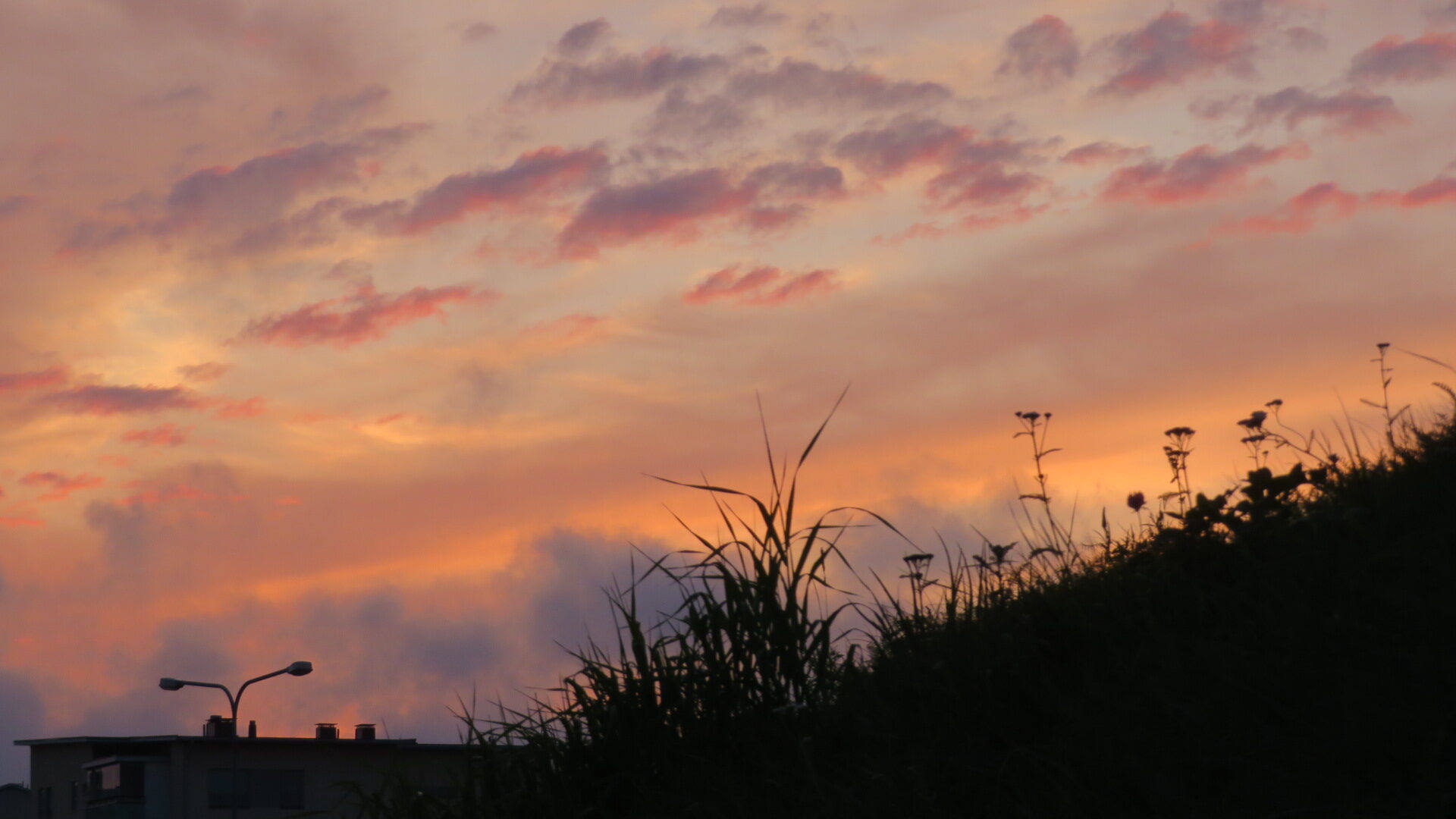 Valokuvaaja: Risto Kangassalo