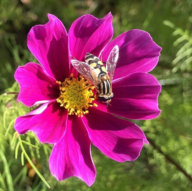 Valokuvaaja: Marjukka Halonen