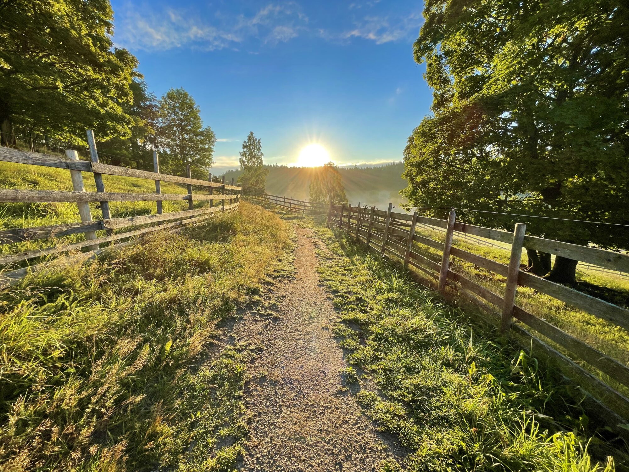 Valokuvaaja: Juhani Peltonen