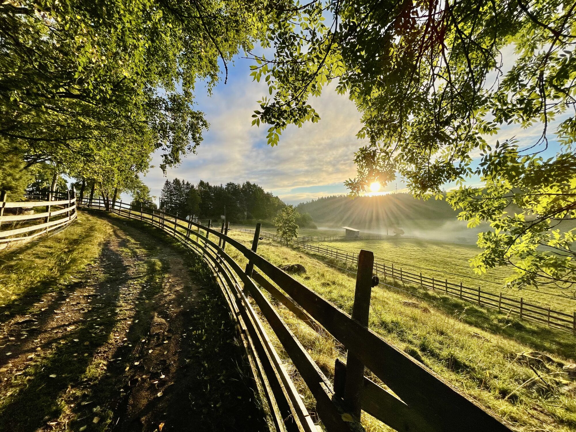 Valokuvaaja: Juhani Peltonen