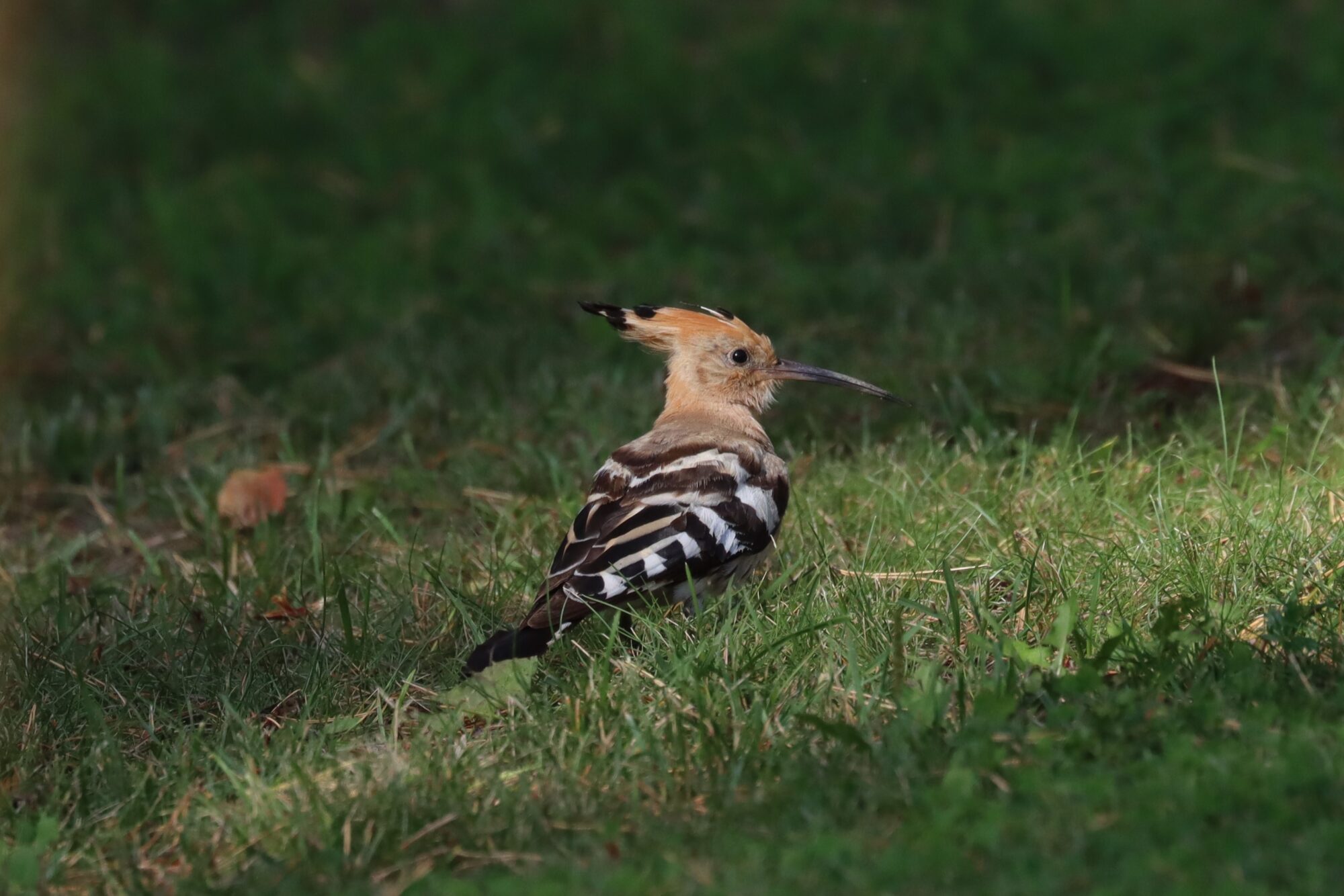 Valokuvaaja: Susanna Hannula