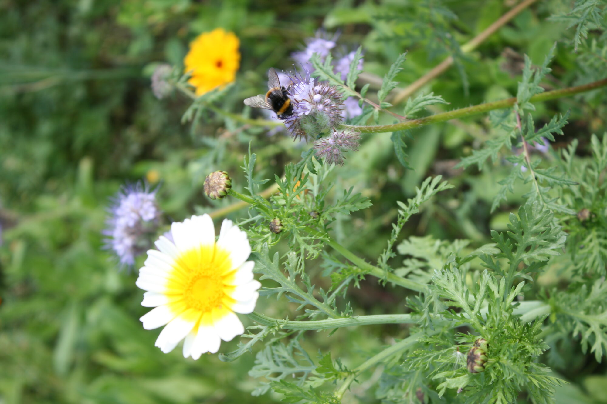 Valokuvaaja: Katri Mäkinen