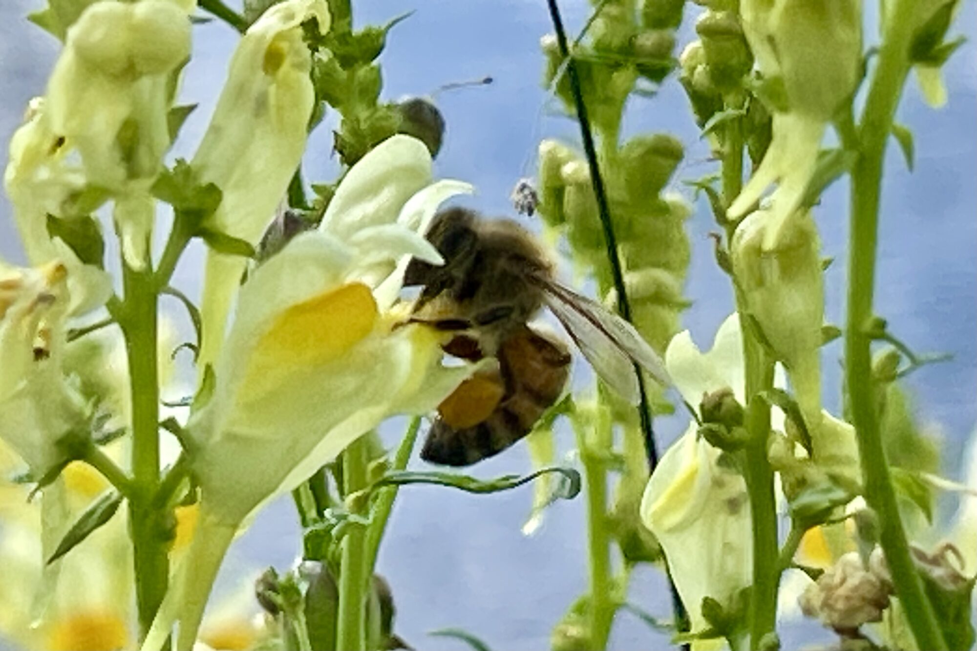 Valokuvaaja: Liisa Niiva-Korpela