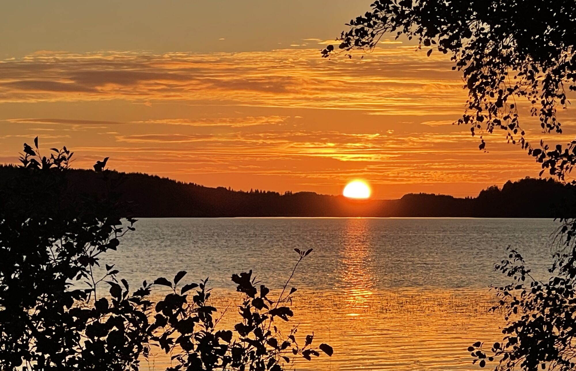 Valokuvaaja: Liisa Niiva-Korpela