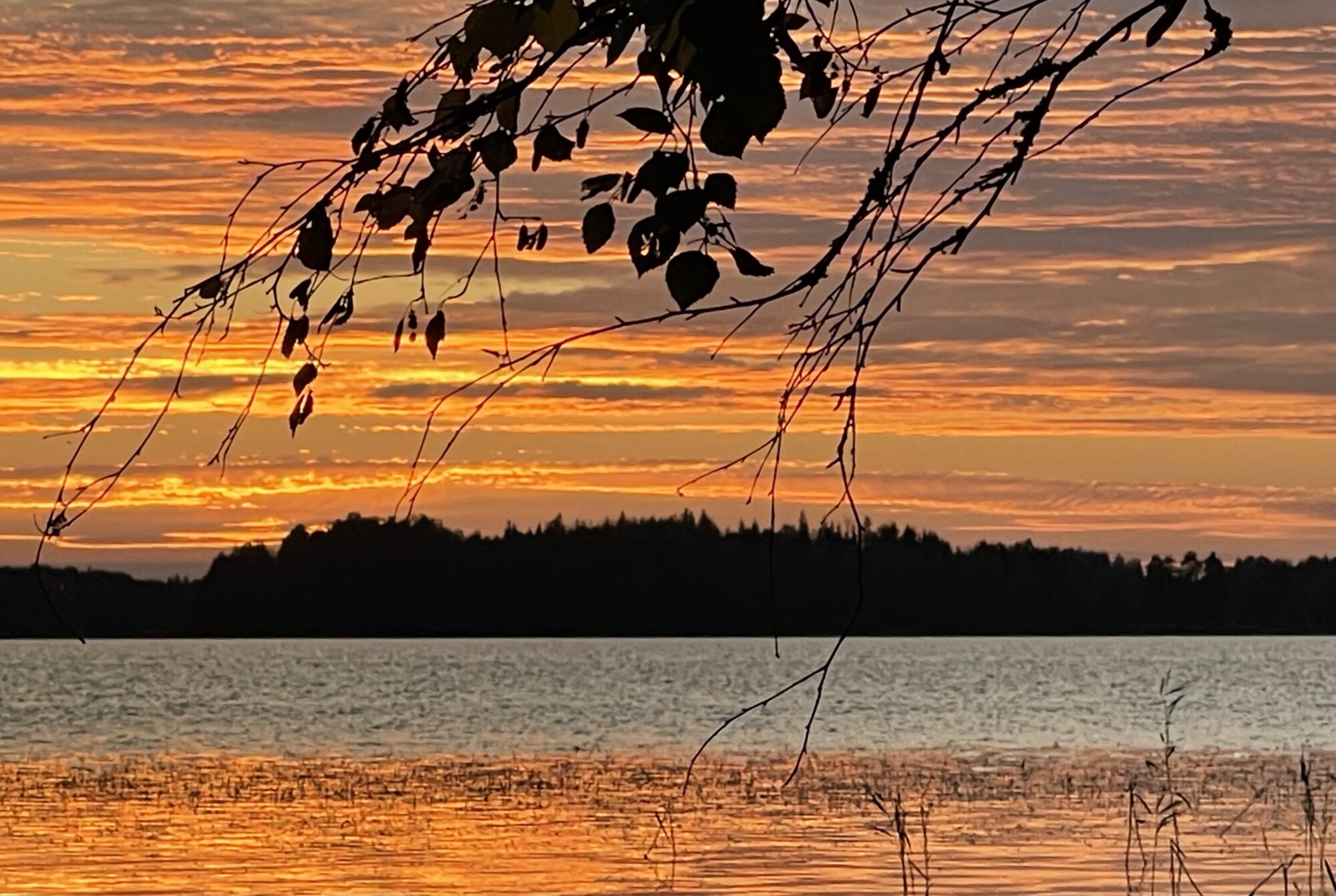 Valokuvaaja: Liisa Niiva-Korpela Valokuvaaja: Liisa Niiva-Korpela