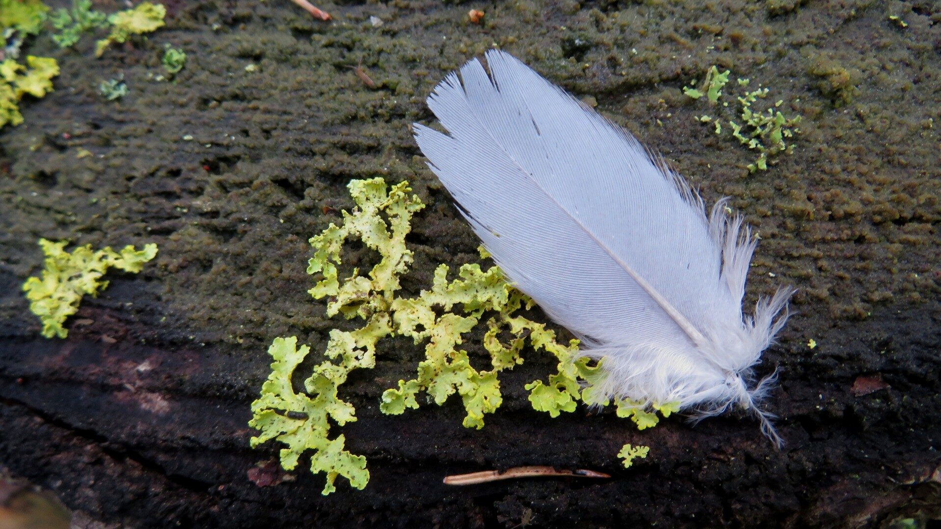 Valokuvaaja: Risto Kangassalo
