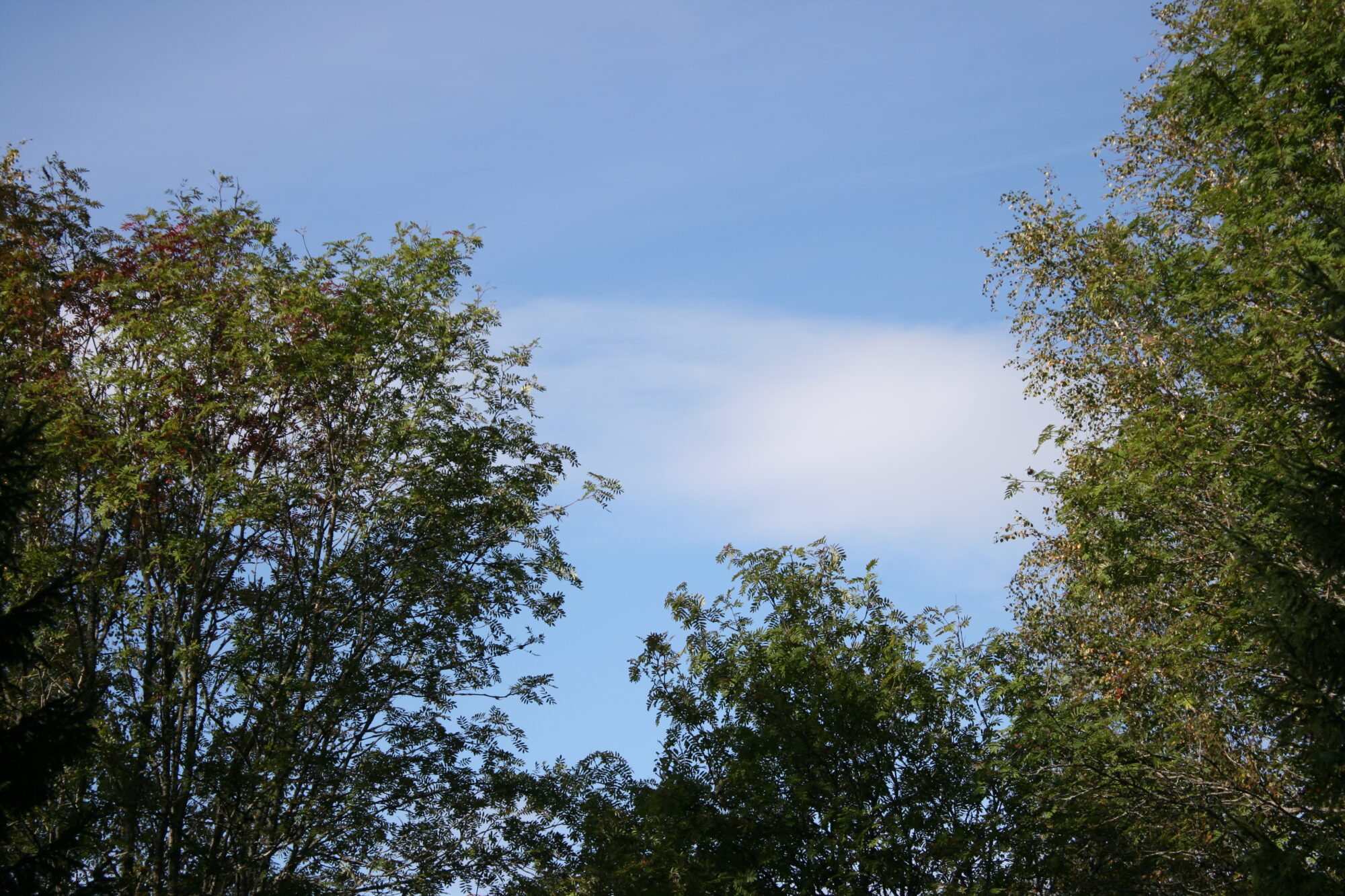 Valokuvaaja: Katri Mäkinen