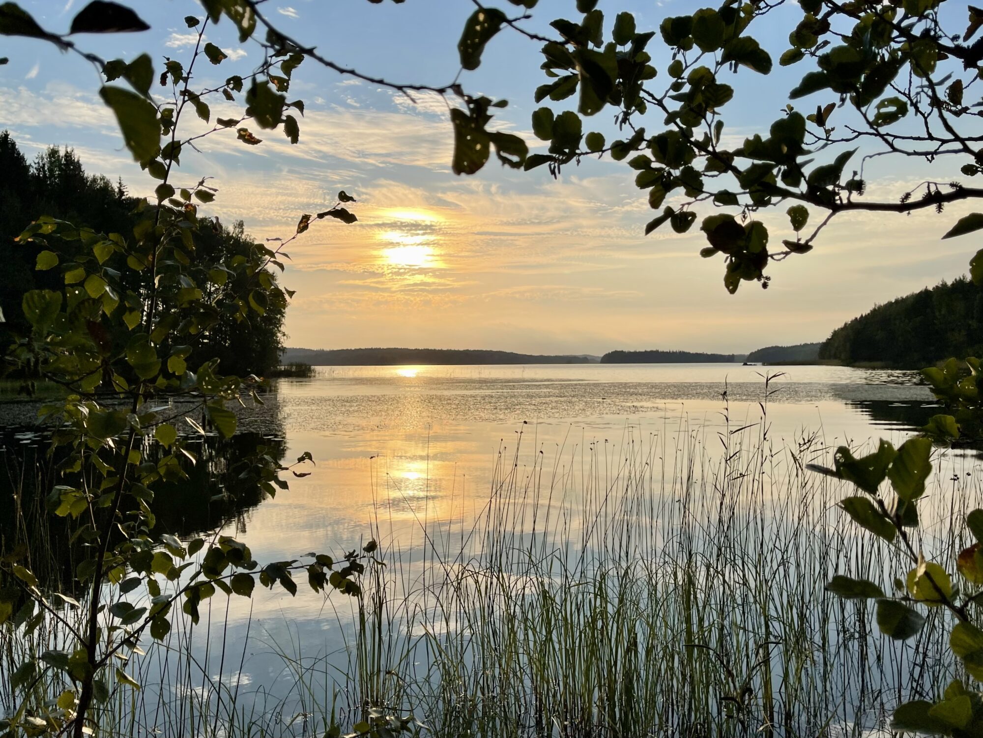Valokuvaaja: Liisa Niiva-Korpela