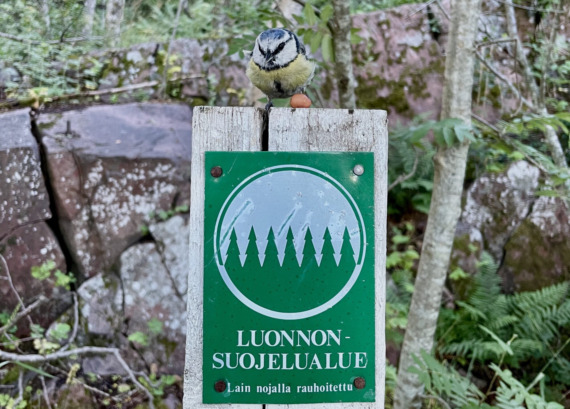 Valokuvaaja: Juhani Peltonen