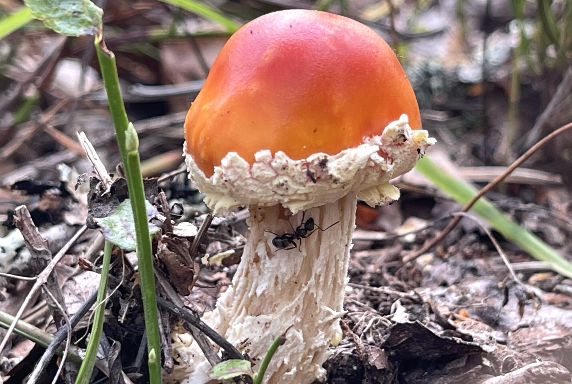 Valokuvaaja: Liisa Niiva-Korpela