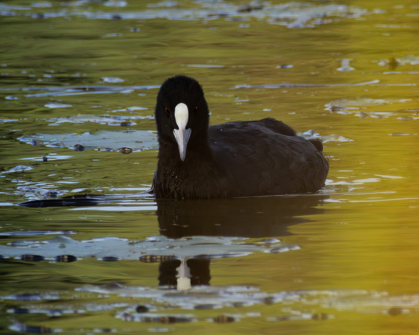 Valokuvaaja: Leevi Halme