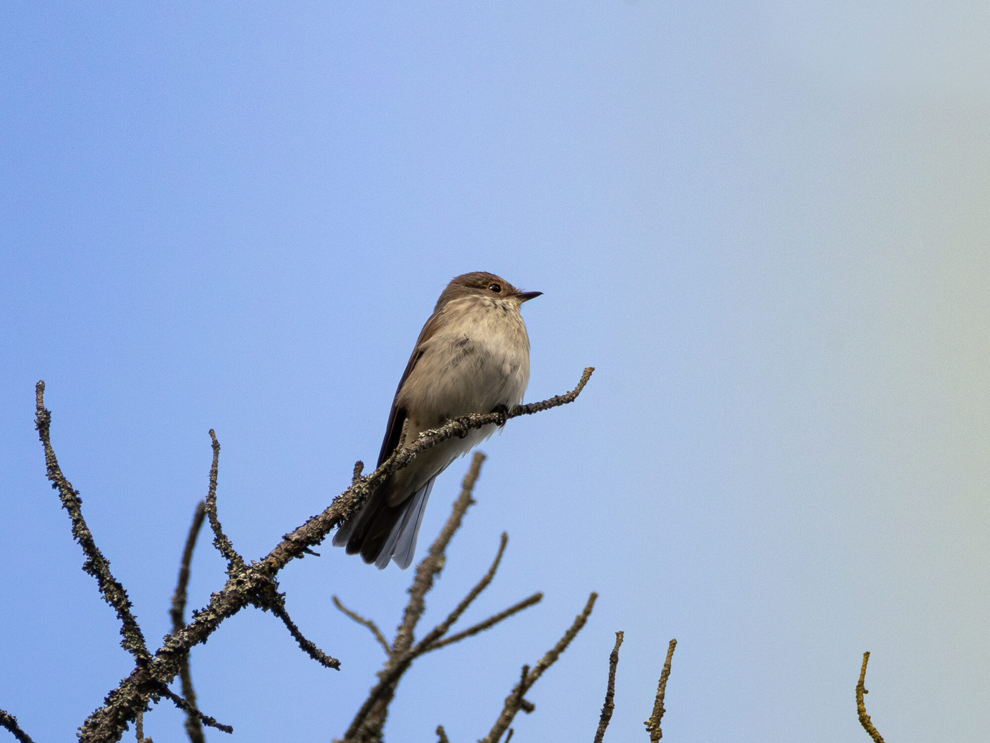 Valokuvaaja: Leevi Halme