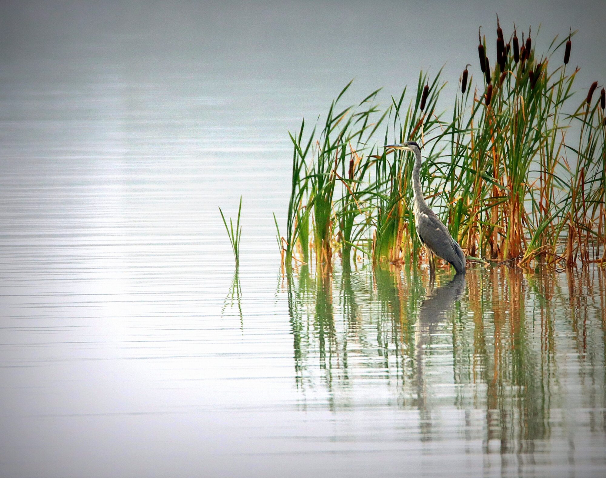 Valokuvaaja: Irja Lehtinen