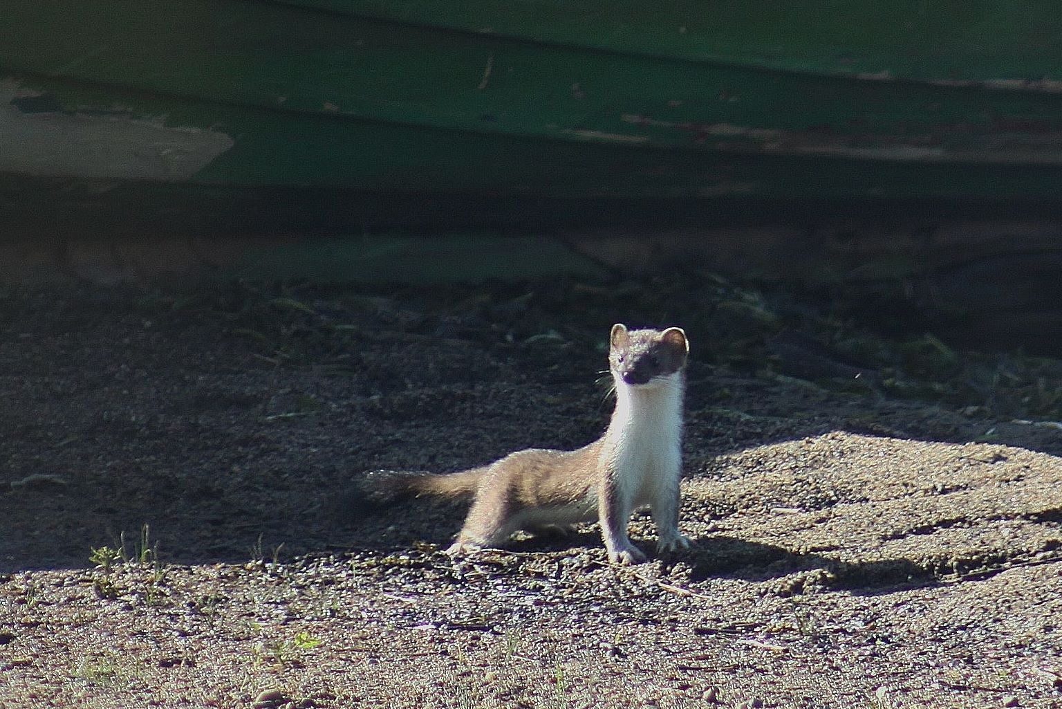 Valokuvaaja: Pirkko Siukonen
