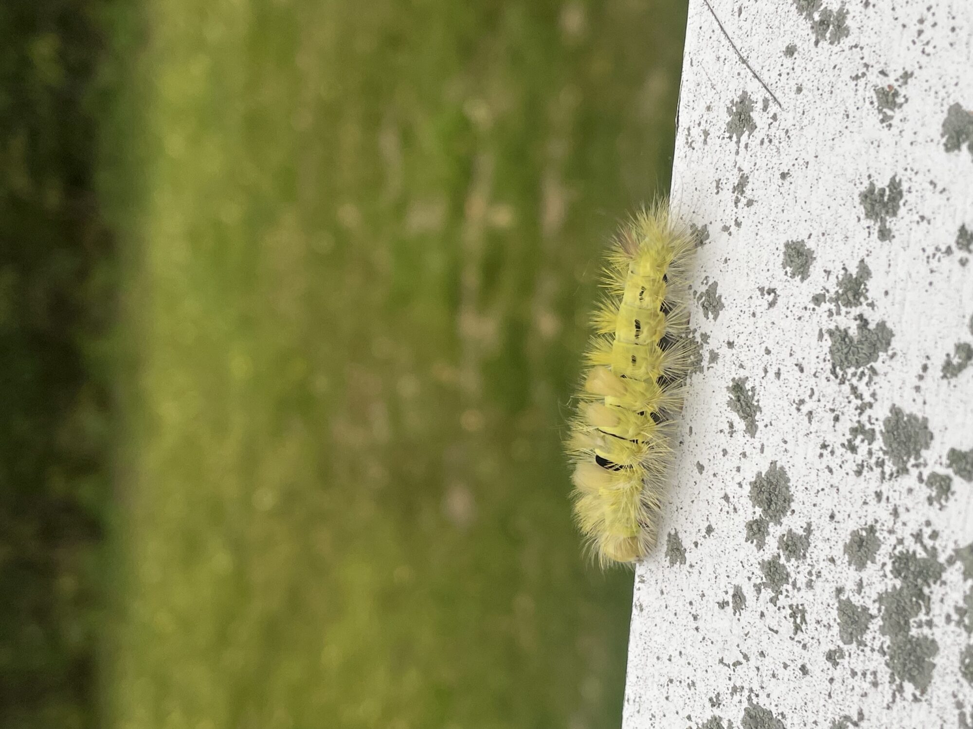 Valokuvaaja: Eva Heiskanen