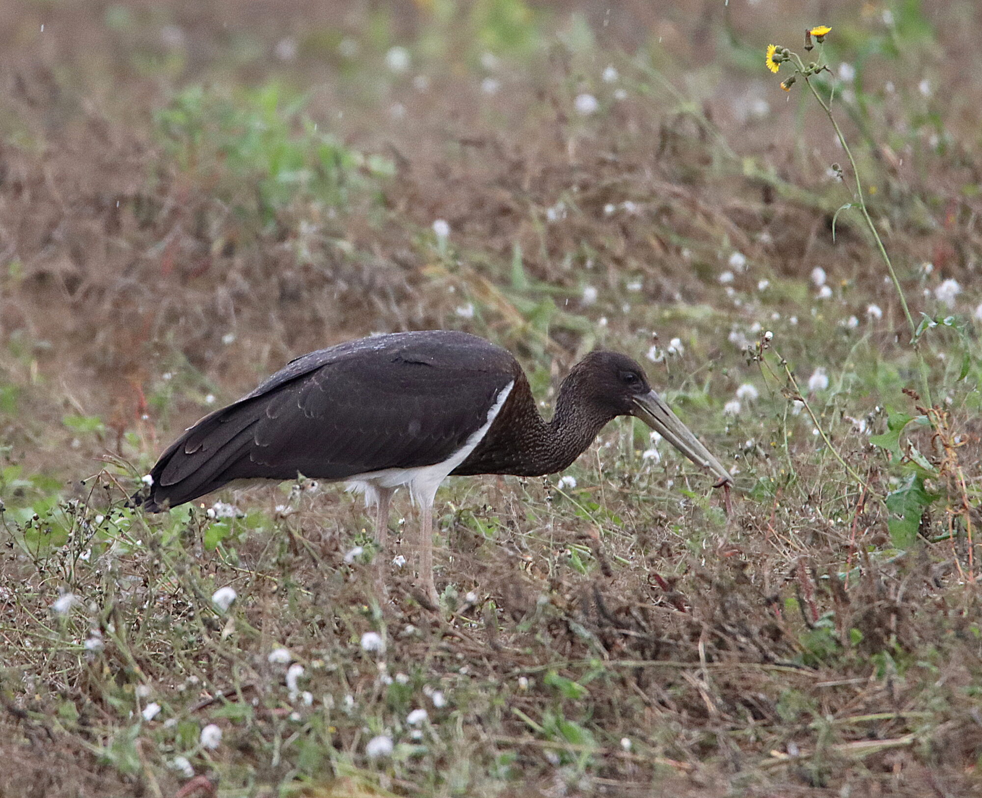Valokuvaaja: Irja Lehtinen
