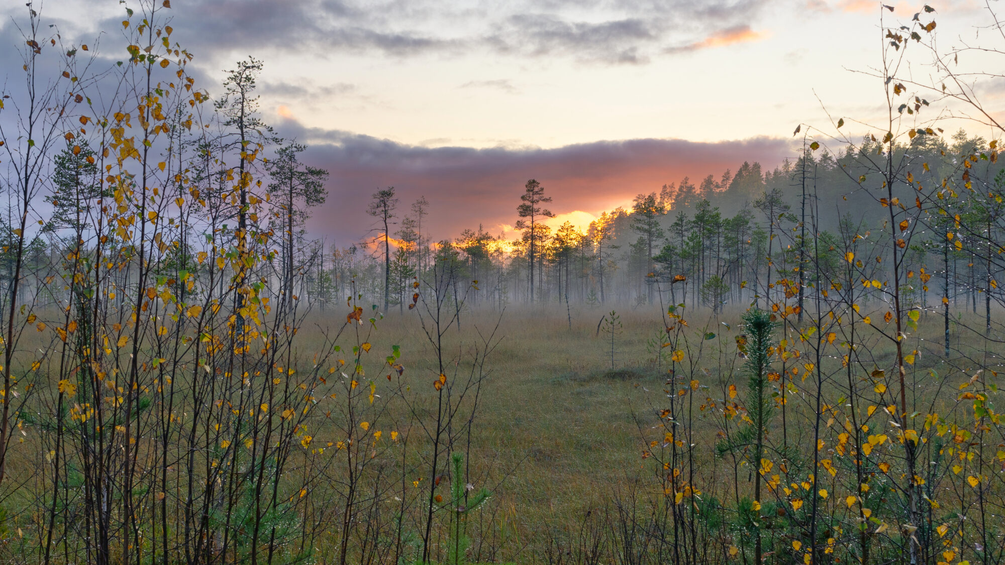 Valokuvaaja: TOMMI KUJALA