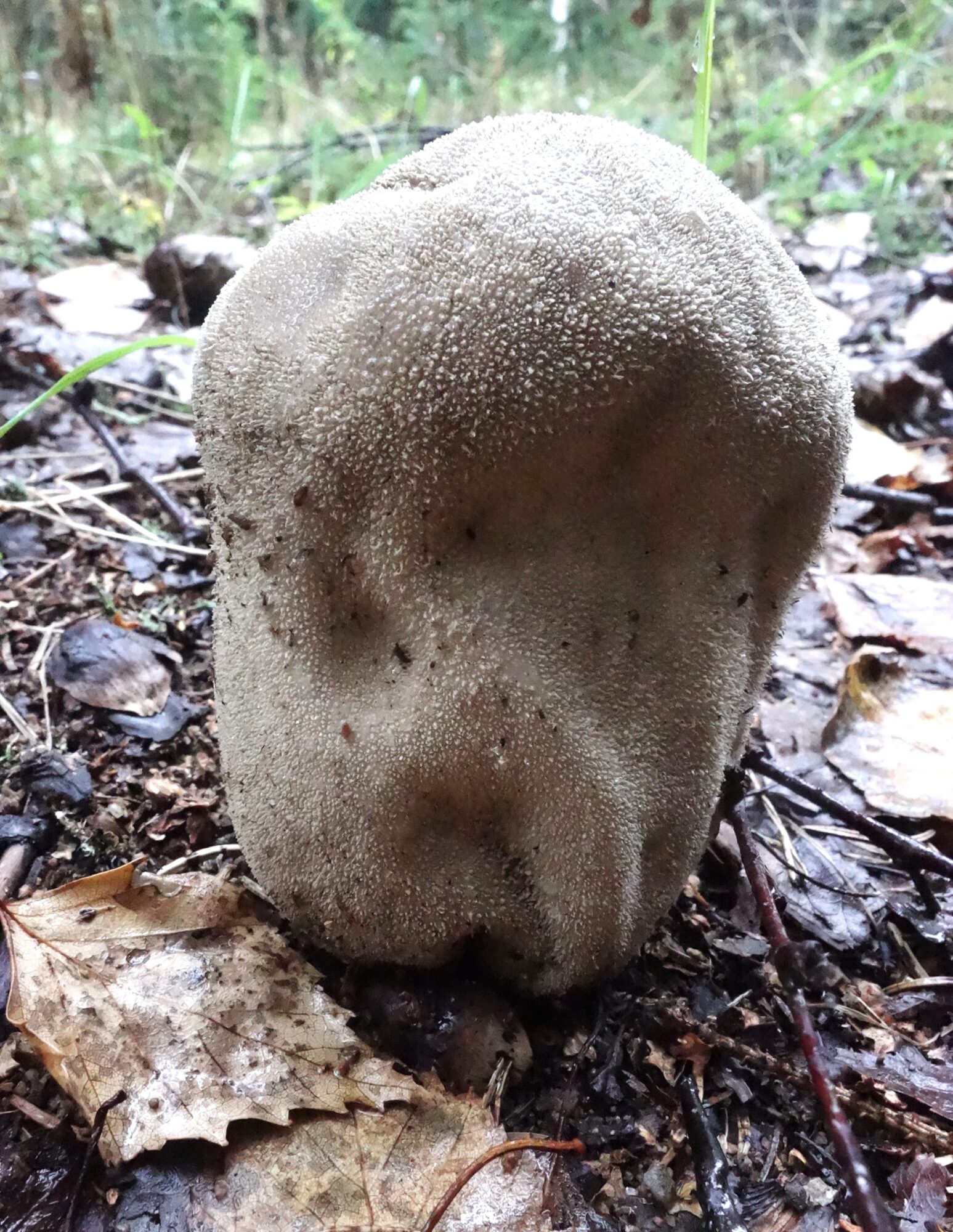 Valokuvaaja: Kaarina Heiskanen