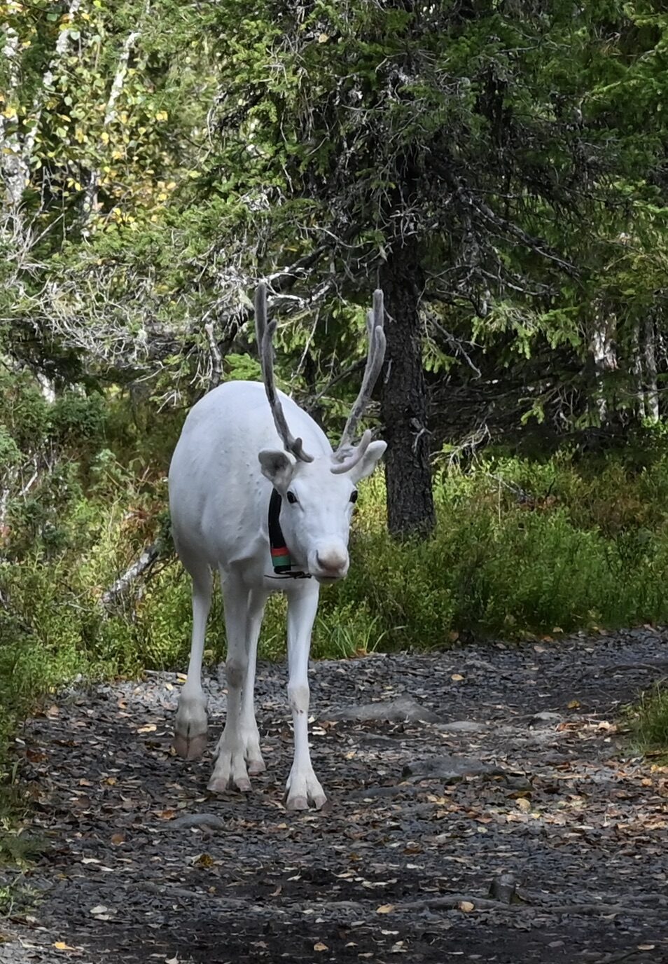 Valokuvaaja: Noora Andersson