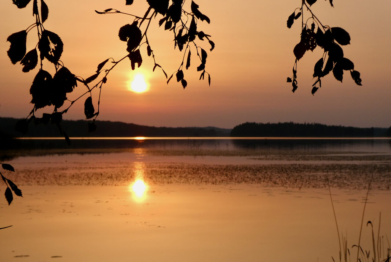 Valokuvaaja: Liisa Niiva-Korpela