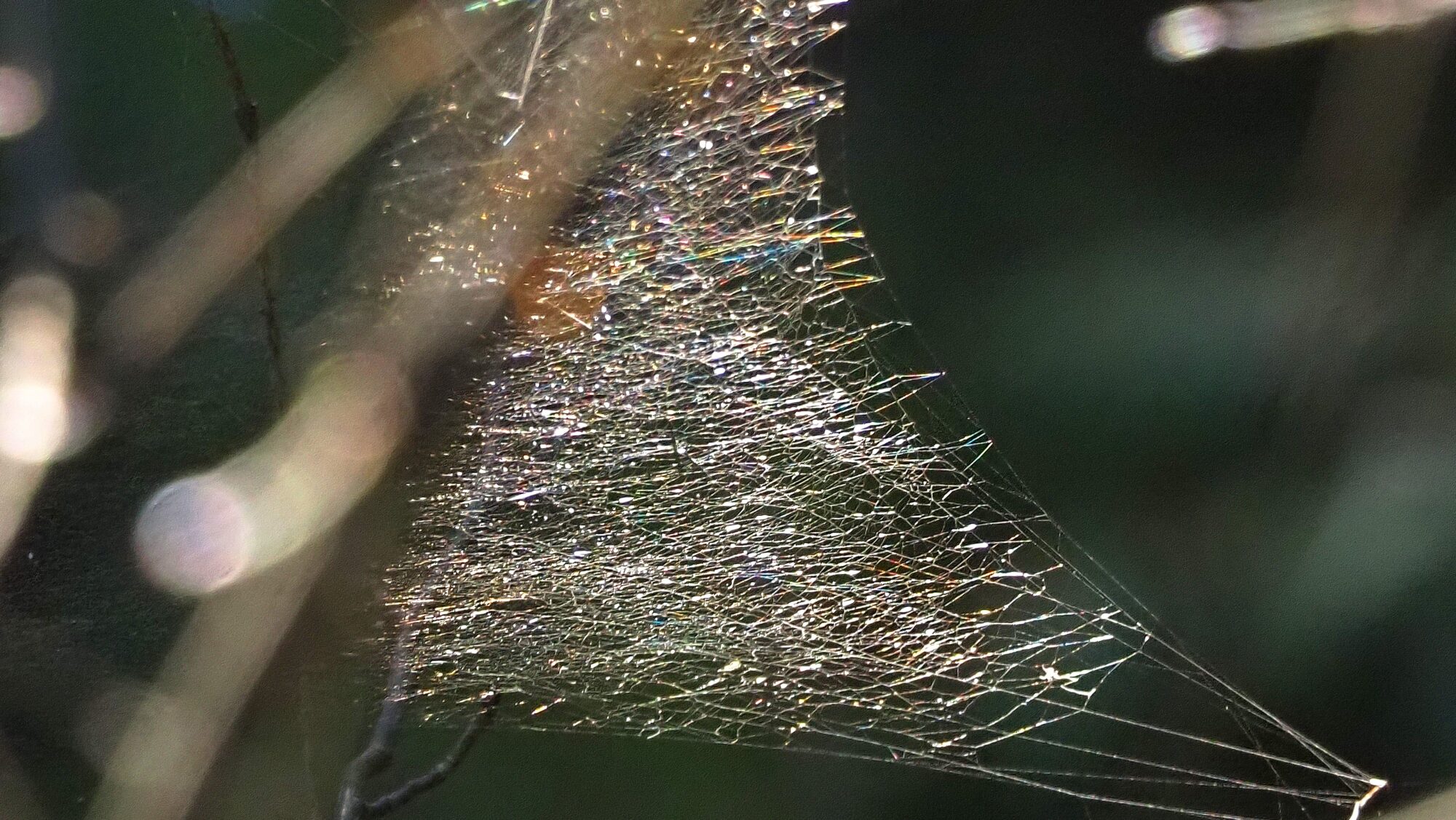 Valokuvaaja: Arja Valtonen