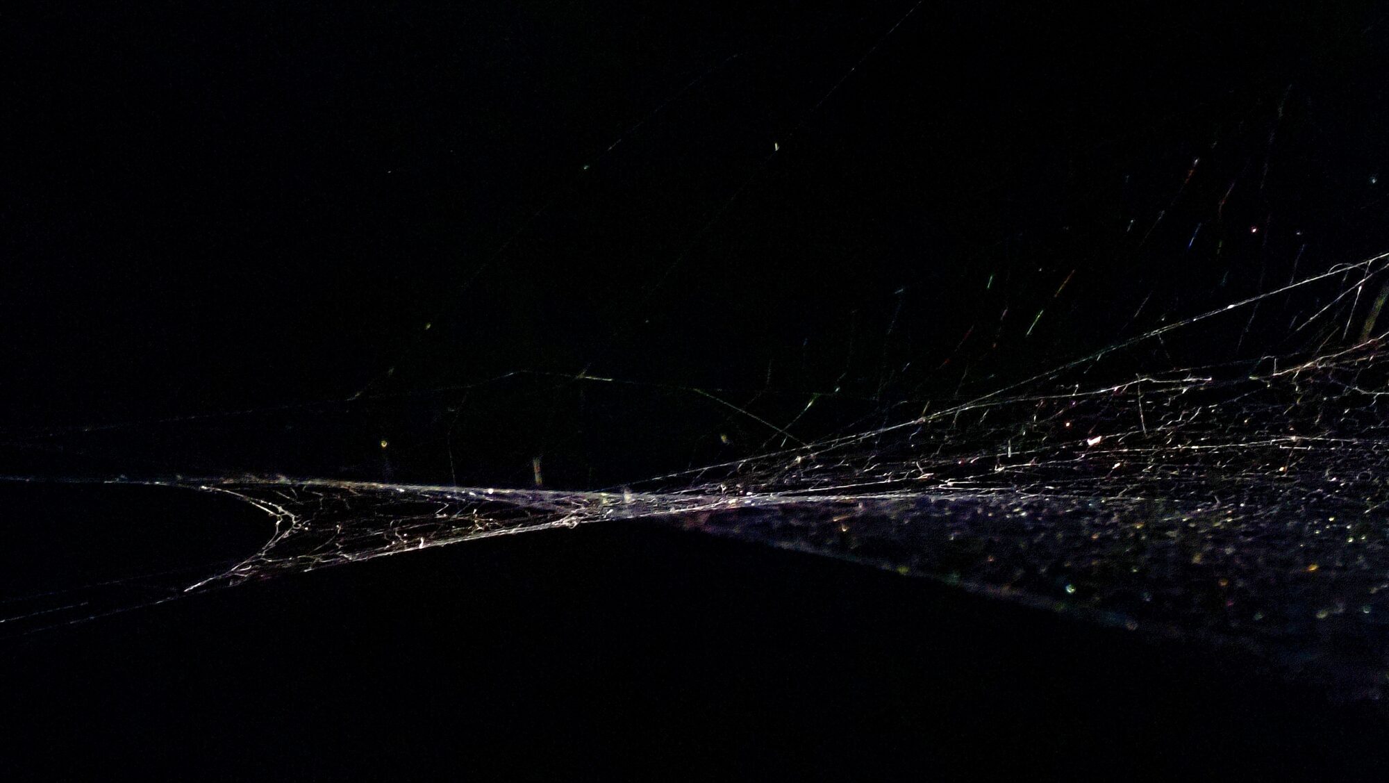 Valokuvaaja: Arja Valtonen