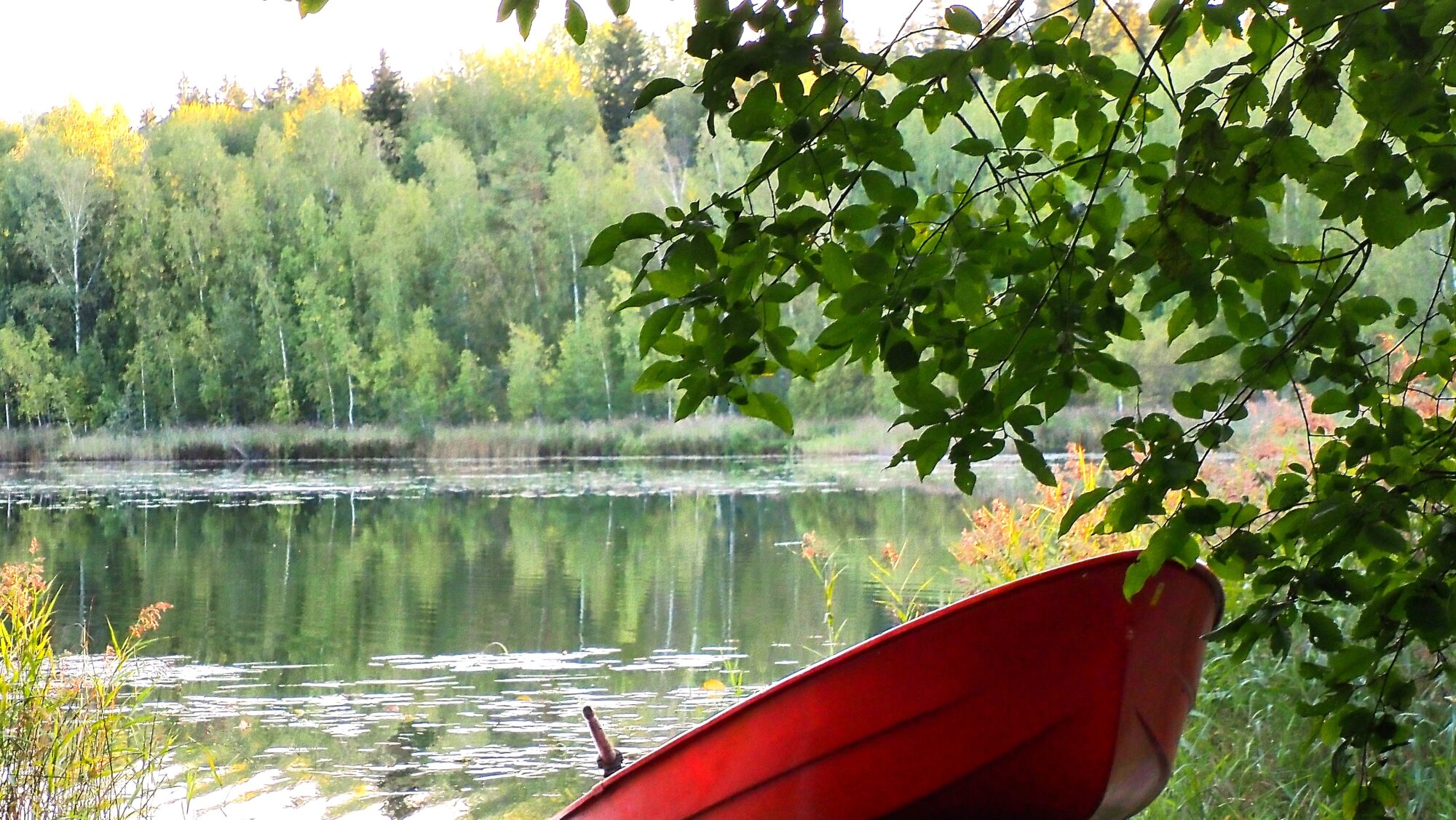 Valokuvaaja: Arja Valtonen Valokuvaaja: Arja Valtonen