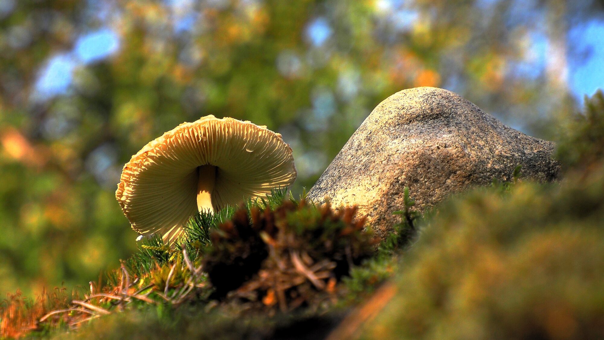 Valokuvaaja: Arja Valtonen