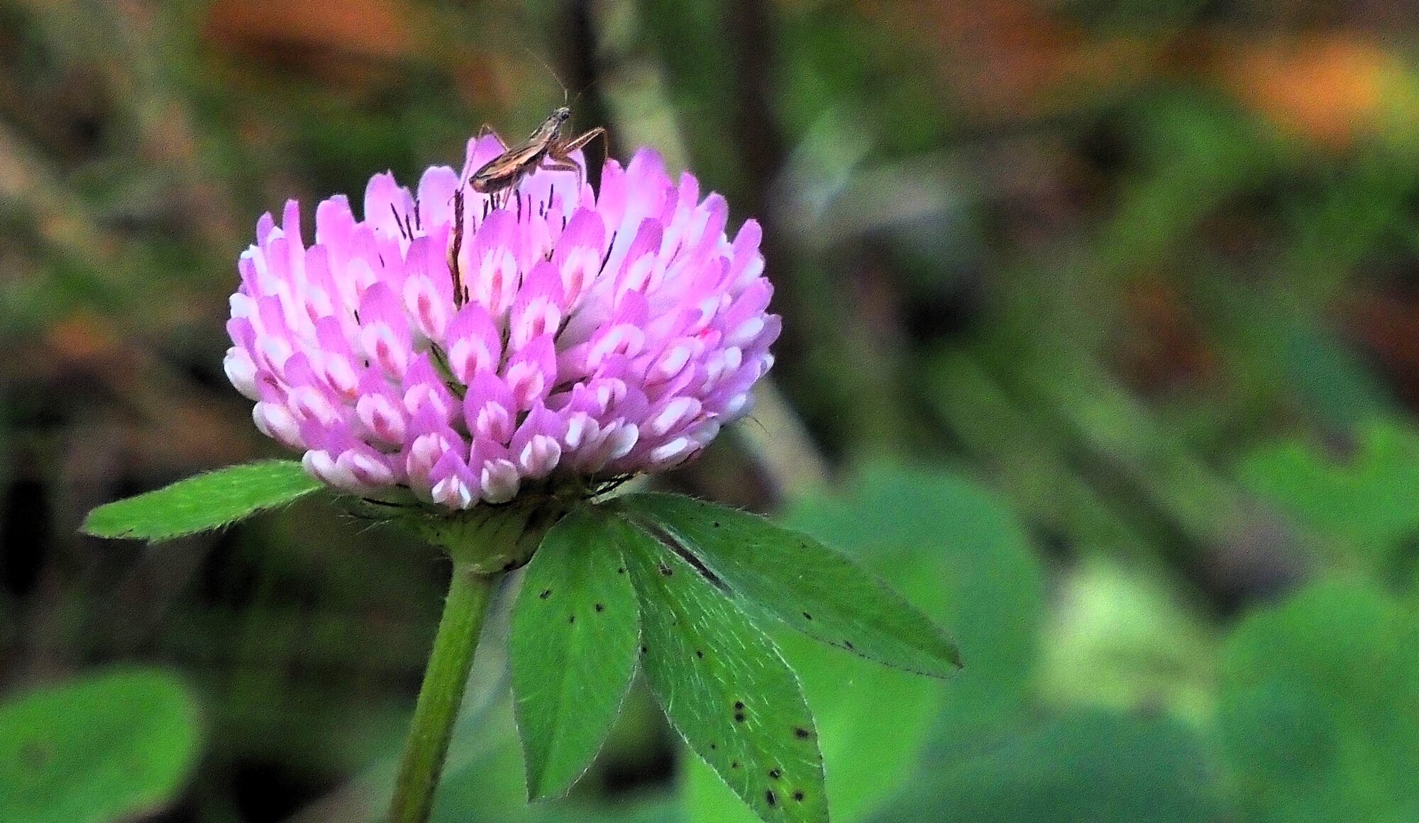 Valokuvaaja: Arja Valtonen