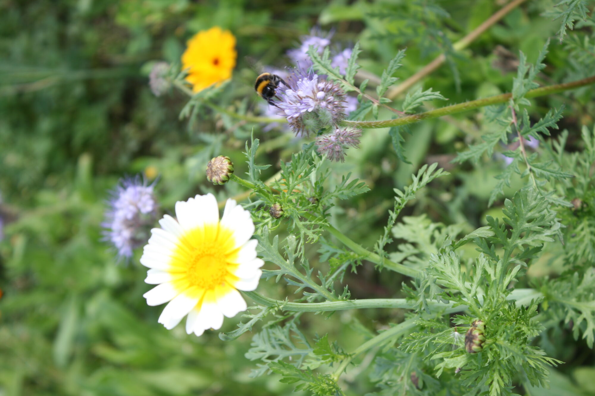 Valokuvaaja: Katri Mäkinen