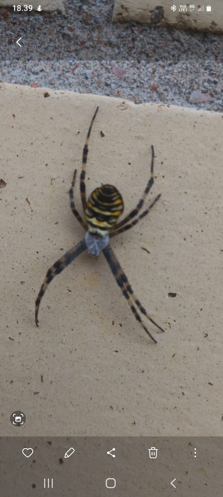 Valokuvaaja: Virve Kuusela