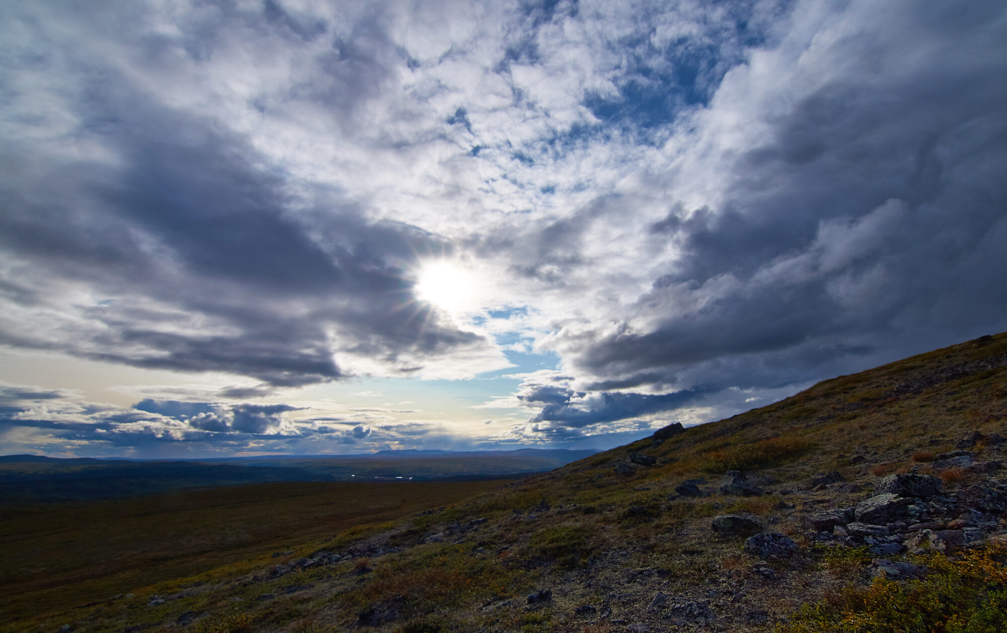 Valokuvaaja: Tarja Kouvo