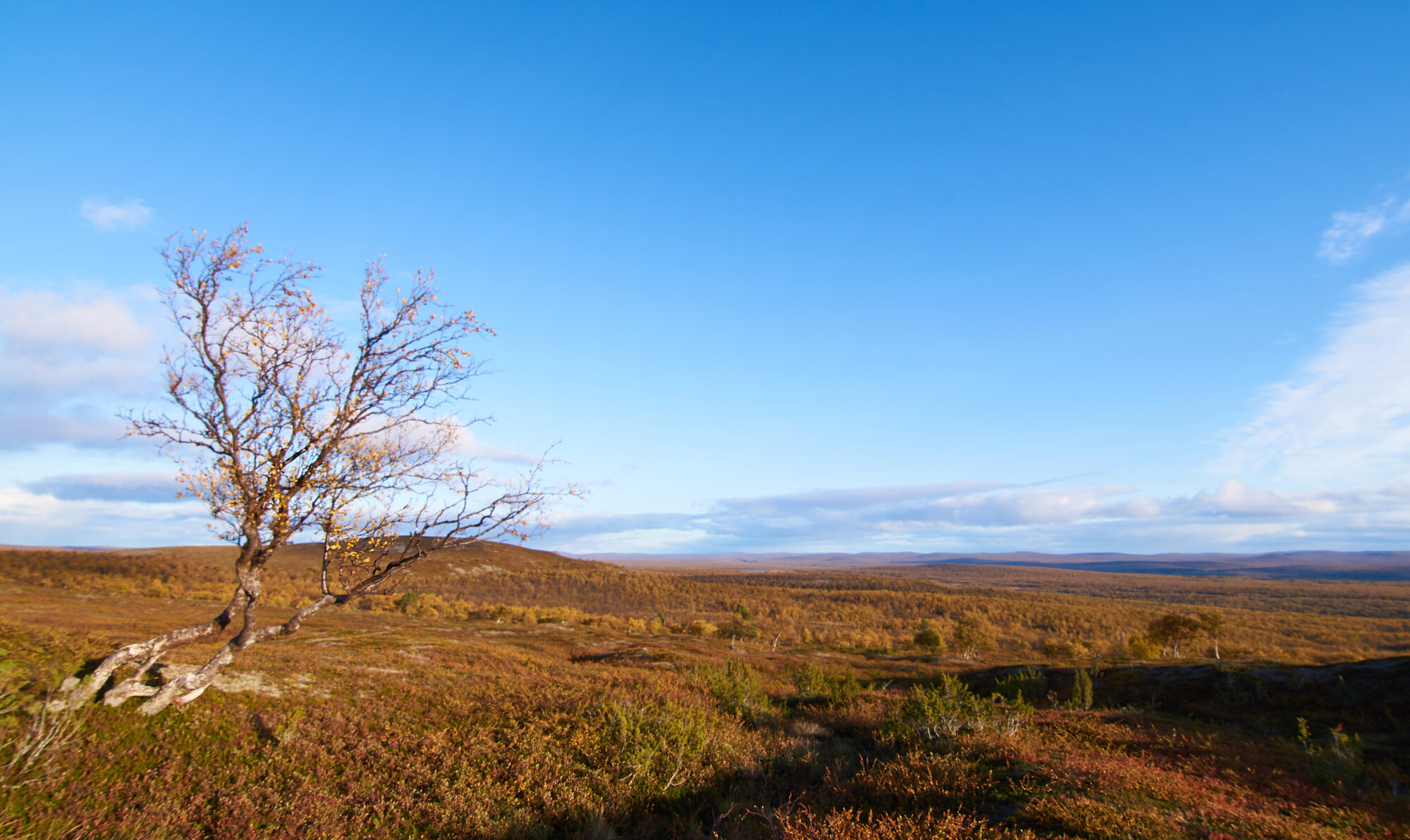 Valokuvaaja: Tarja Kouvo
