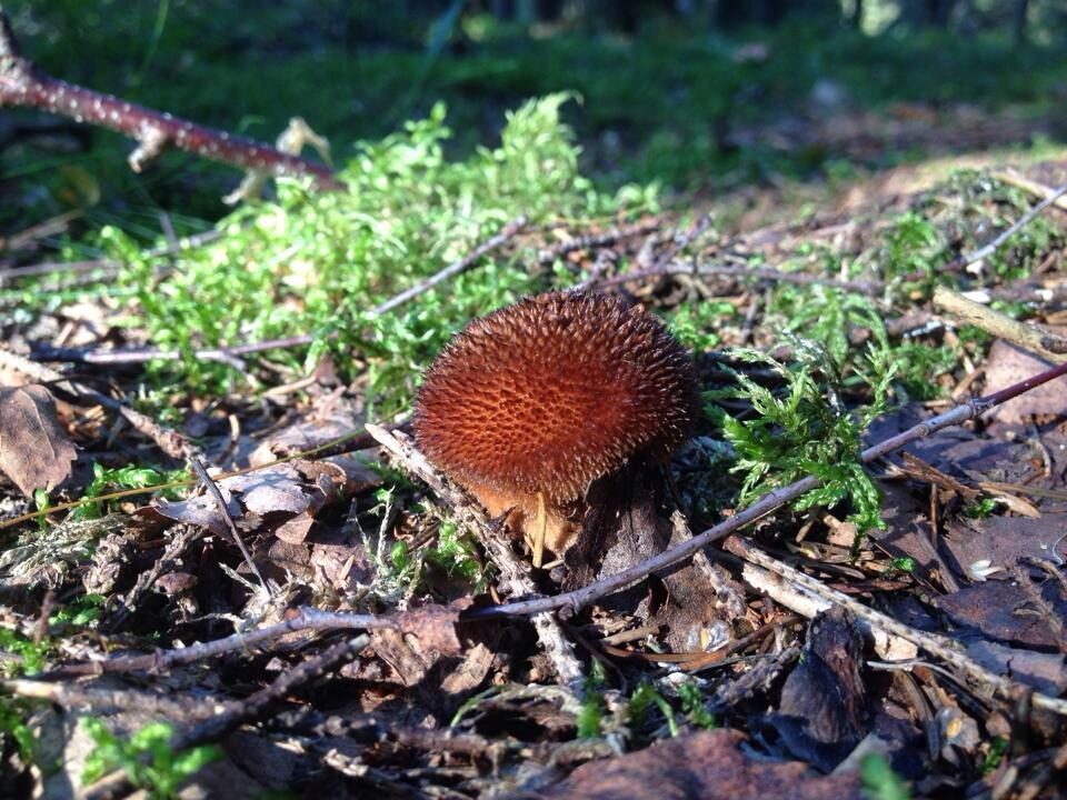 Valokuvaaja: Marja Yliheikkilä