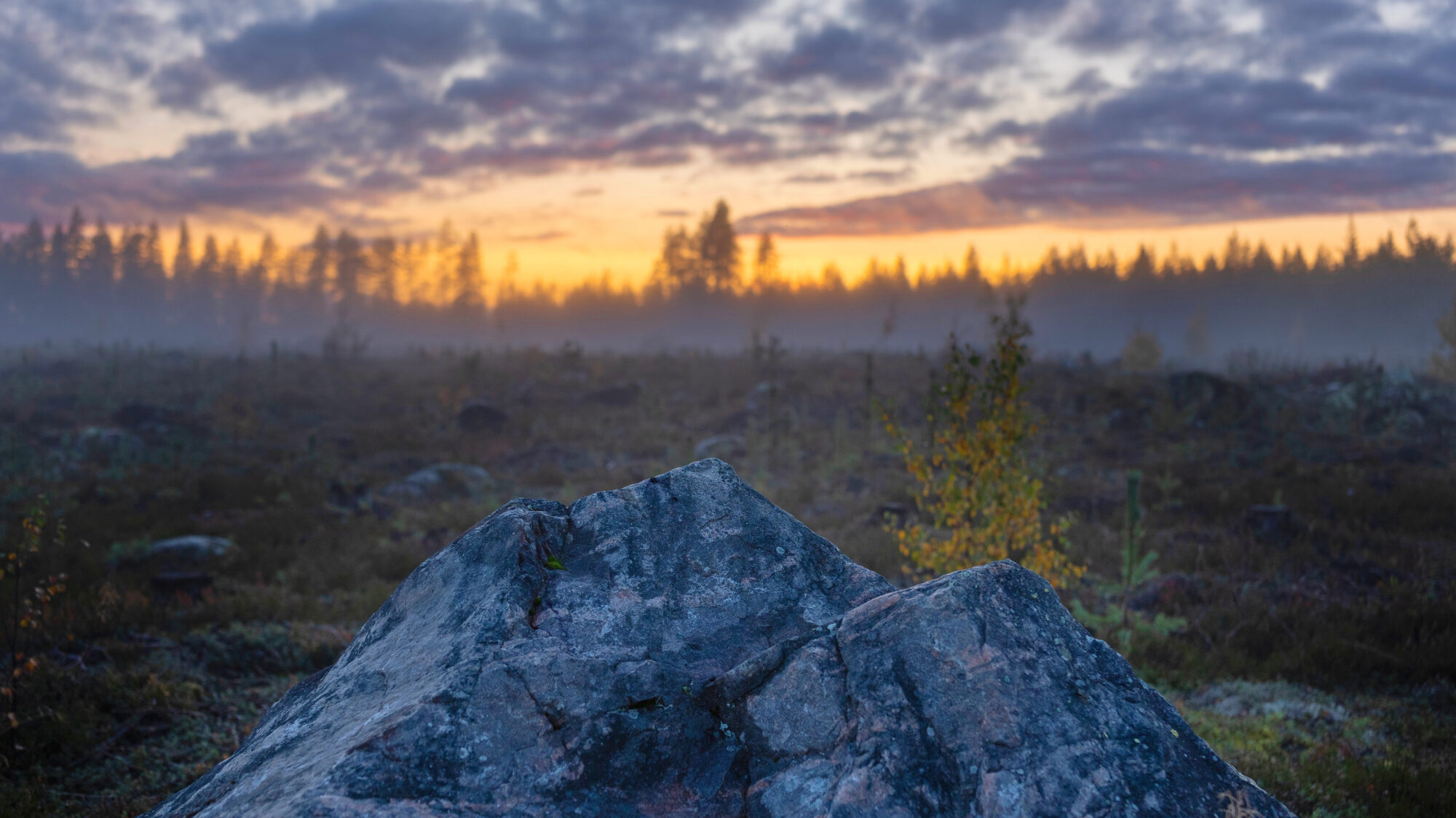 Valokuvaaja: TOMMI KUJALA