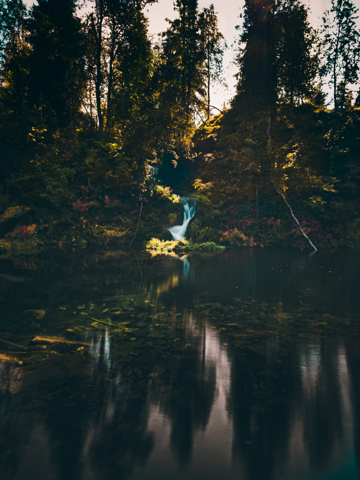 Valokuvaaja: Julius Törrönen