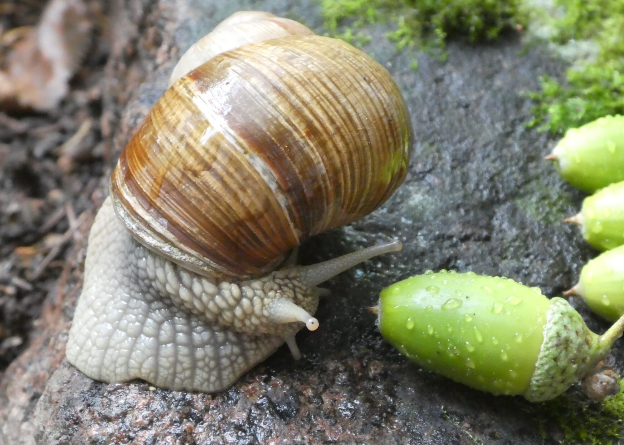 Valokuvaaja: Anja Mustamaa