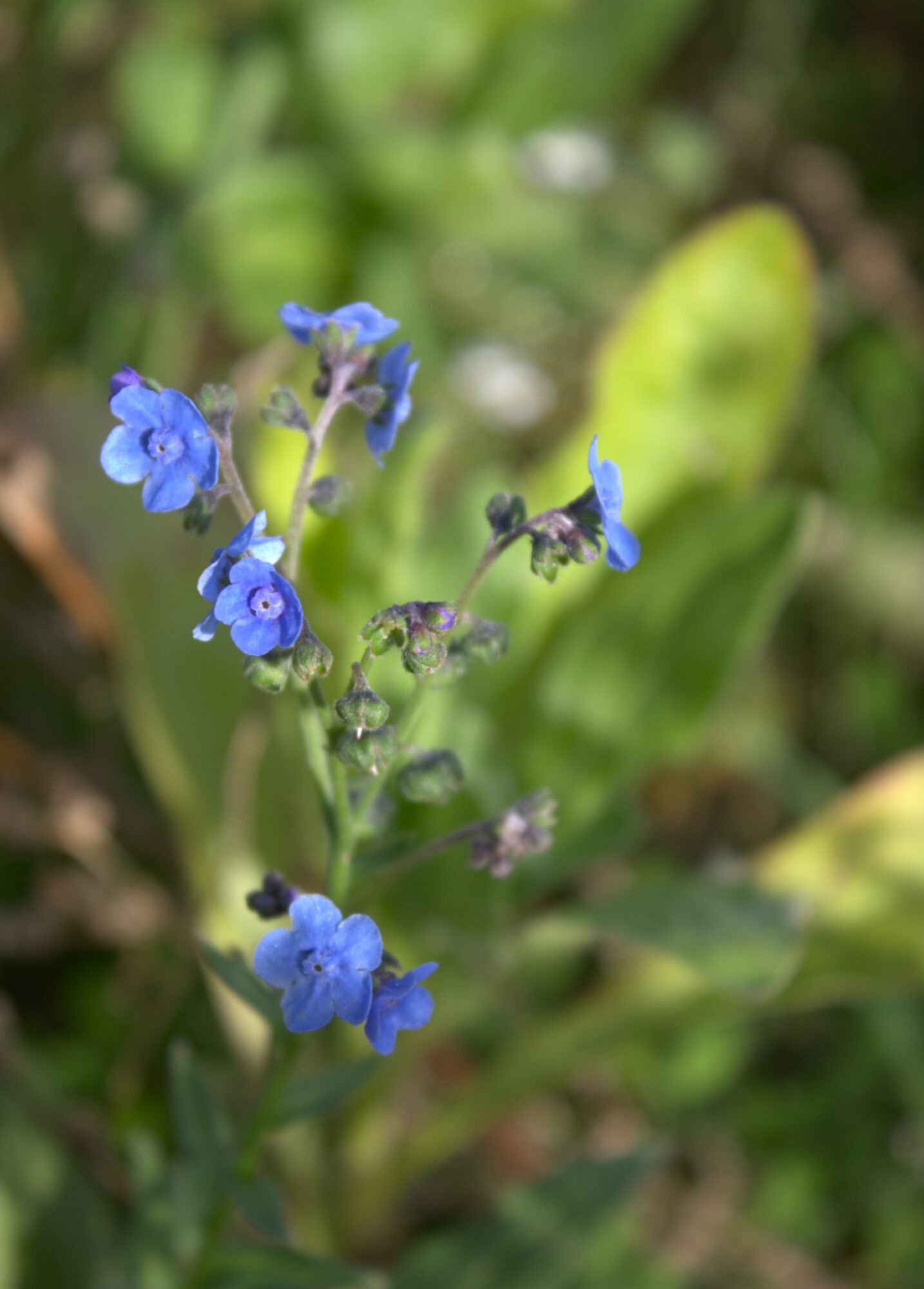 Valokuvaaja: Katri Mäkinen