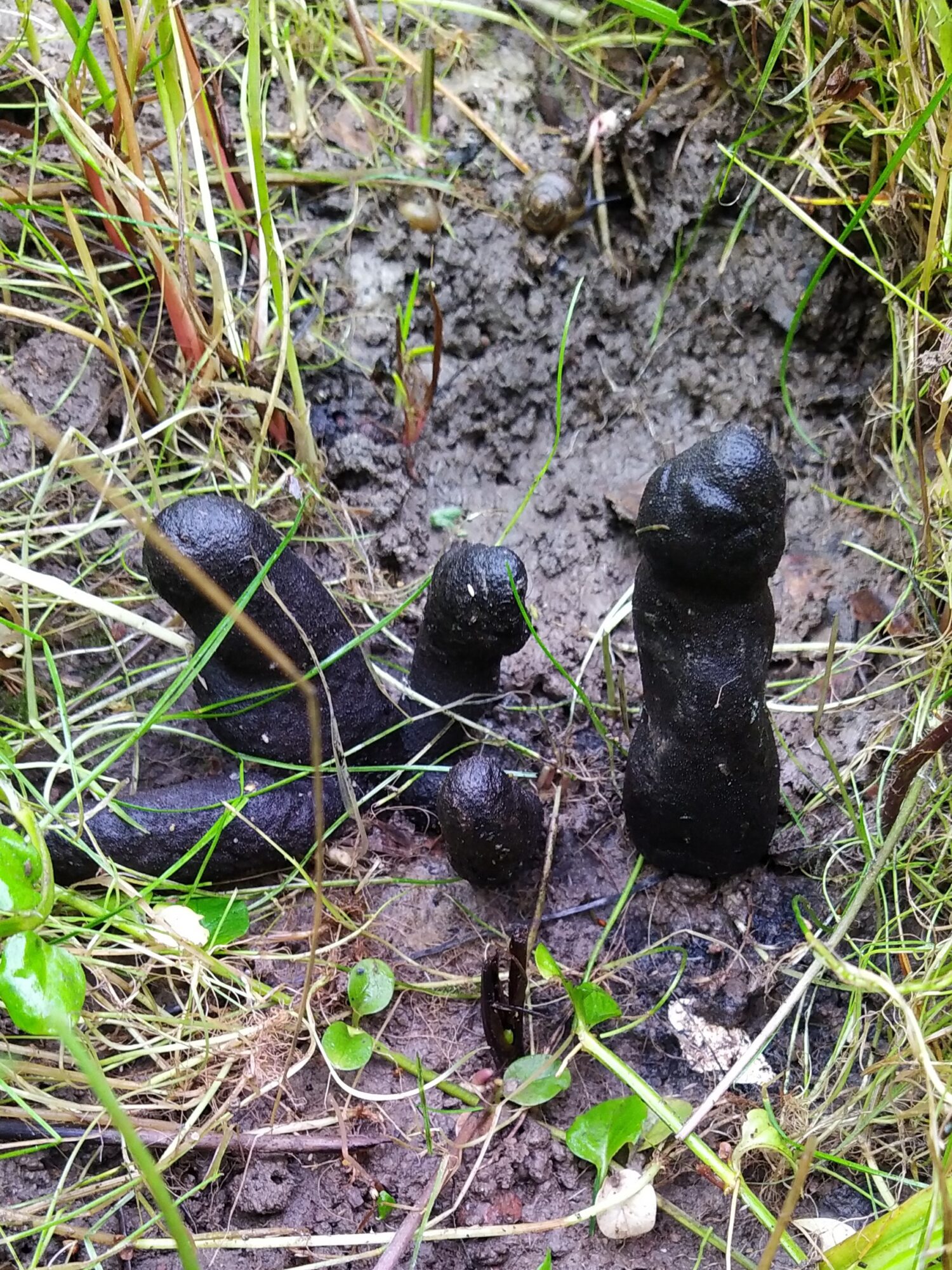 Valokuvaaja: Arja Pohto Valokuvaaja: Arja Pohto