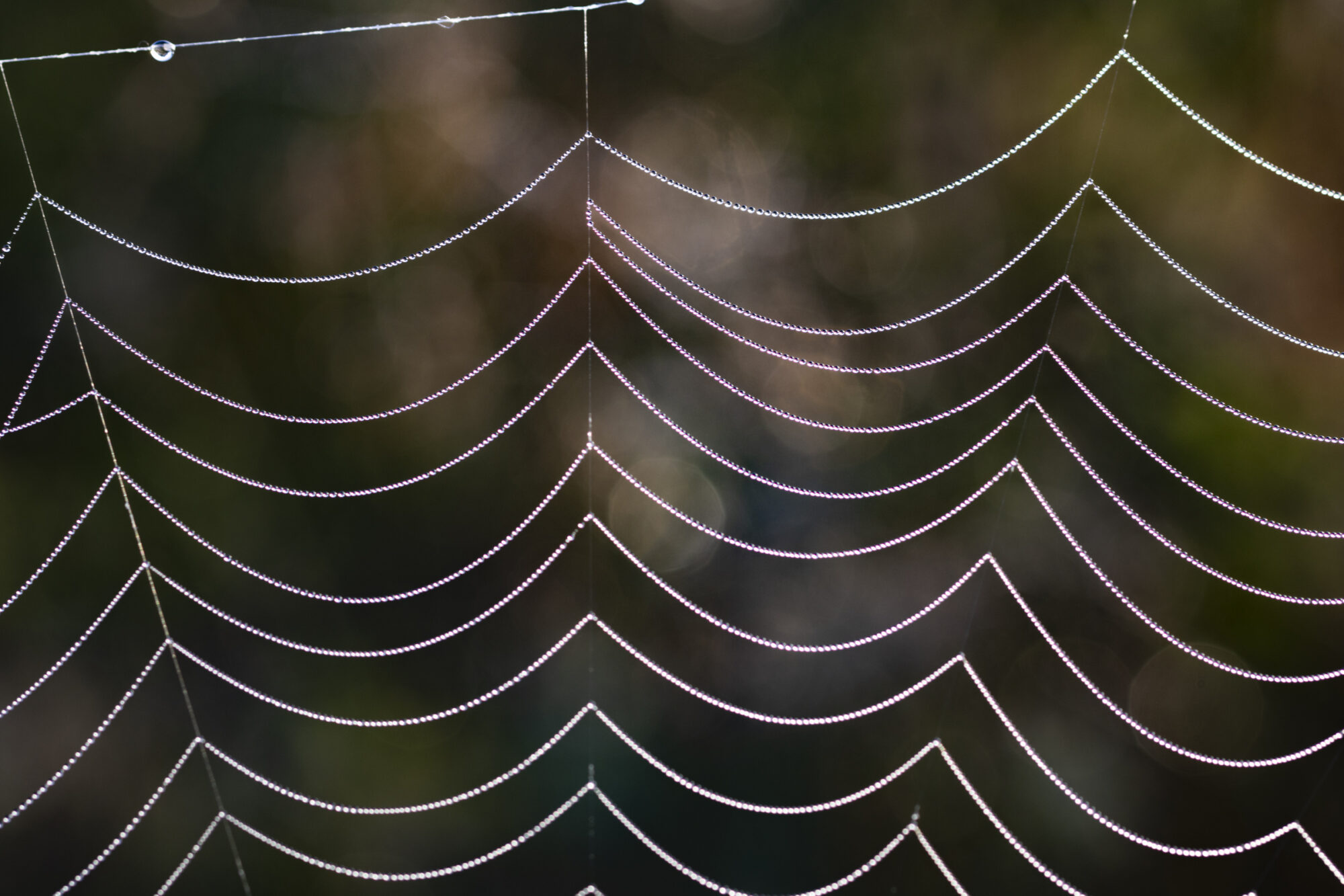 Valokuvaaja: Hannu Tikkanen