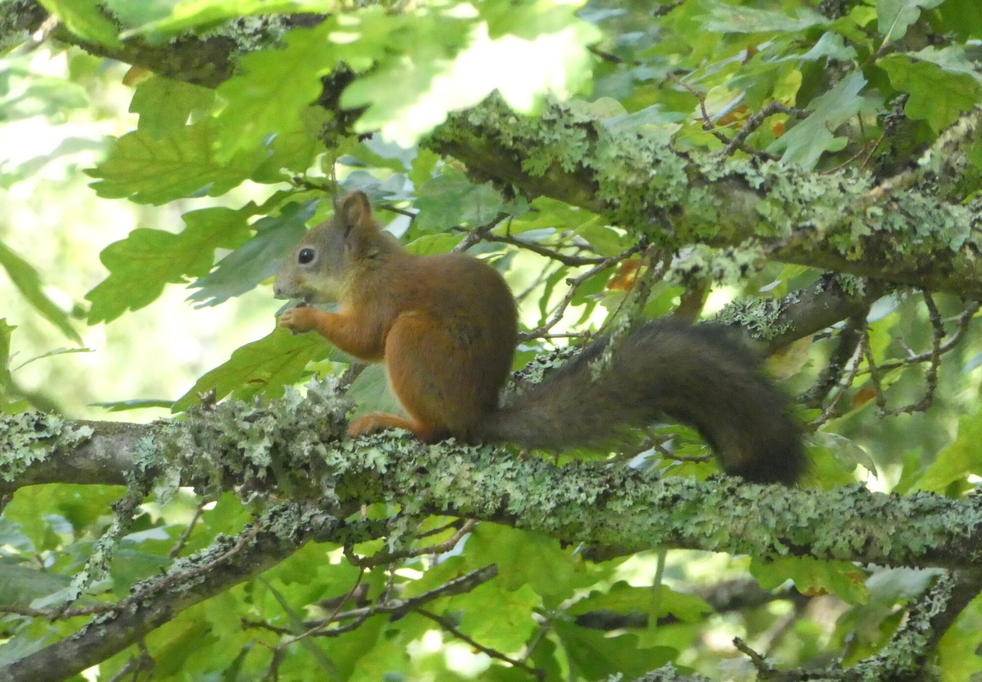 Valokuvaaja: Anja Mustamaa