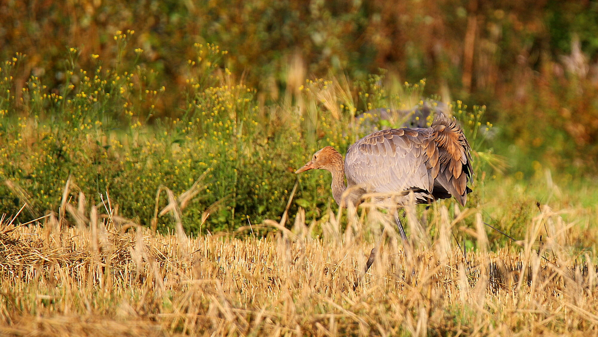 Valokuvaaja: sirpa Jyske Valokuvaaja: sirpa Jyske