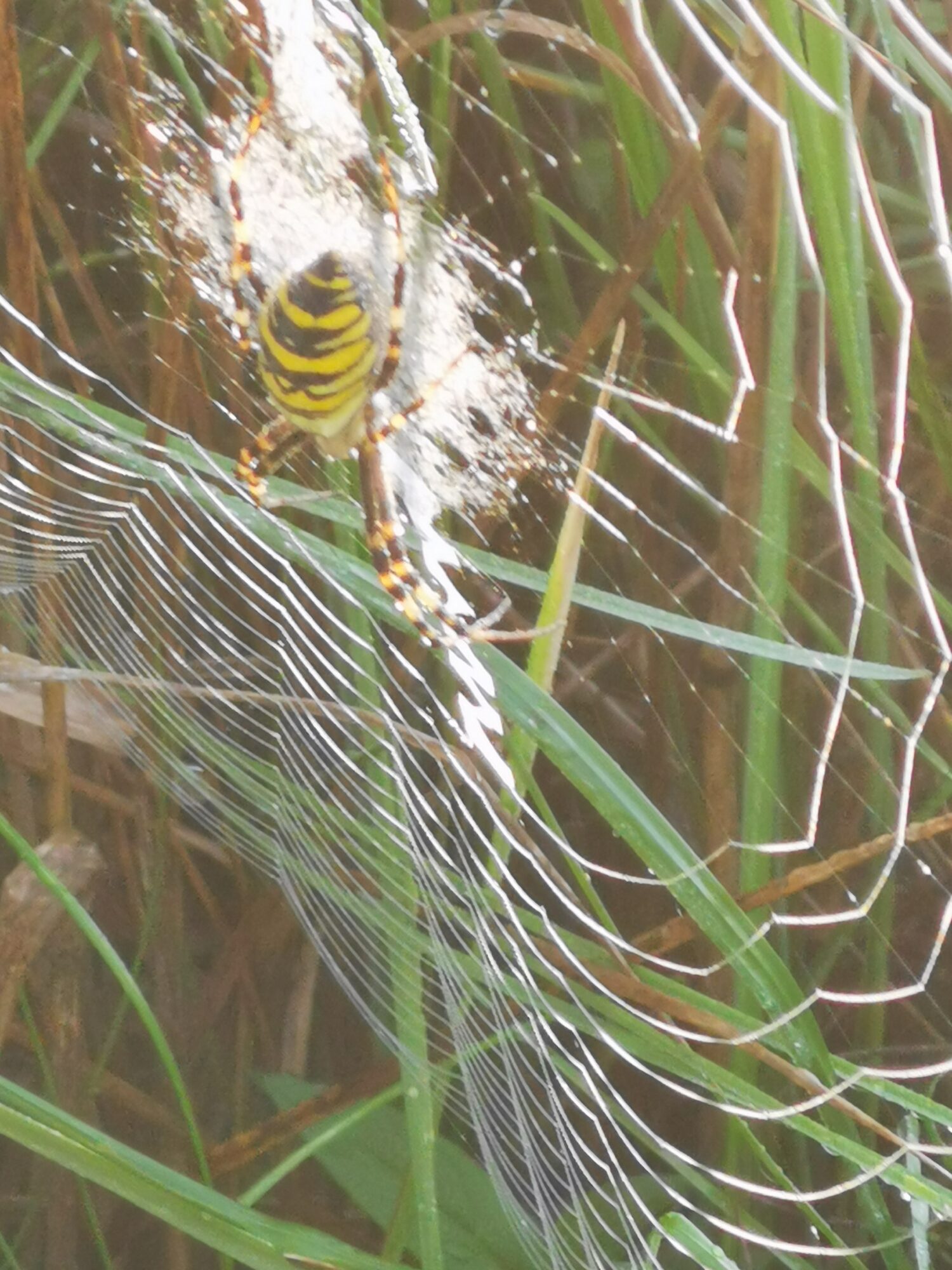 Valokuvaaja: Piia Järvelä