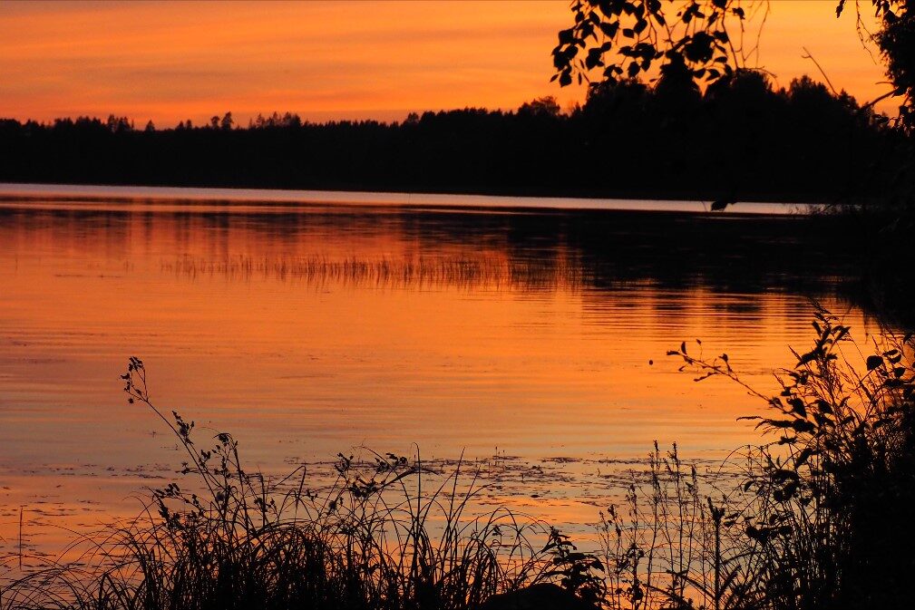 Valokuvaaja: Jamila Awadh