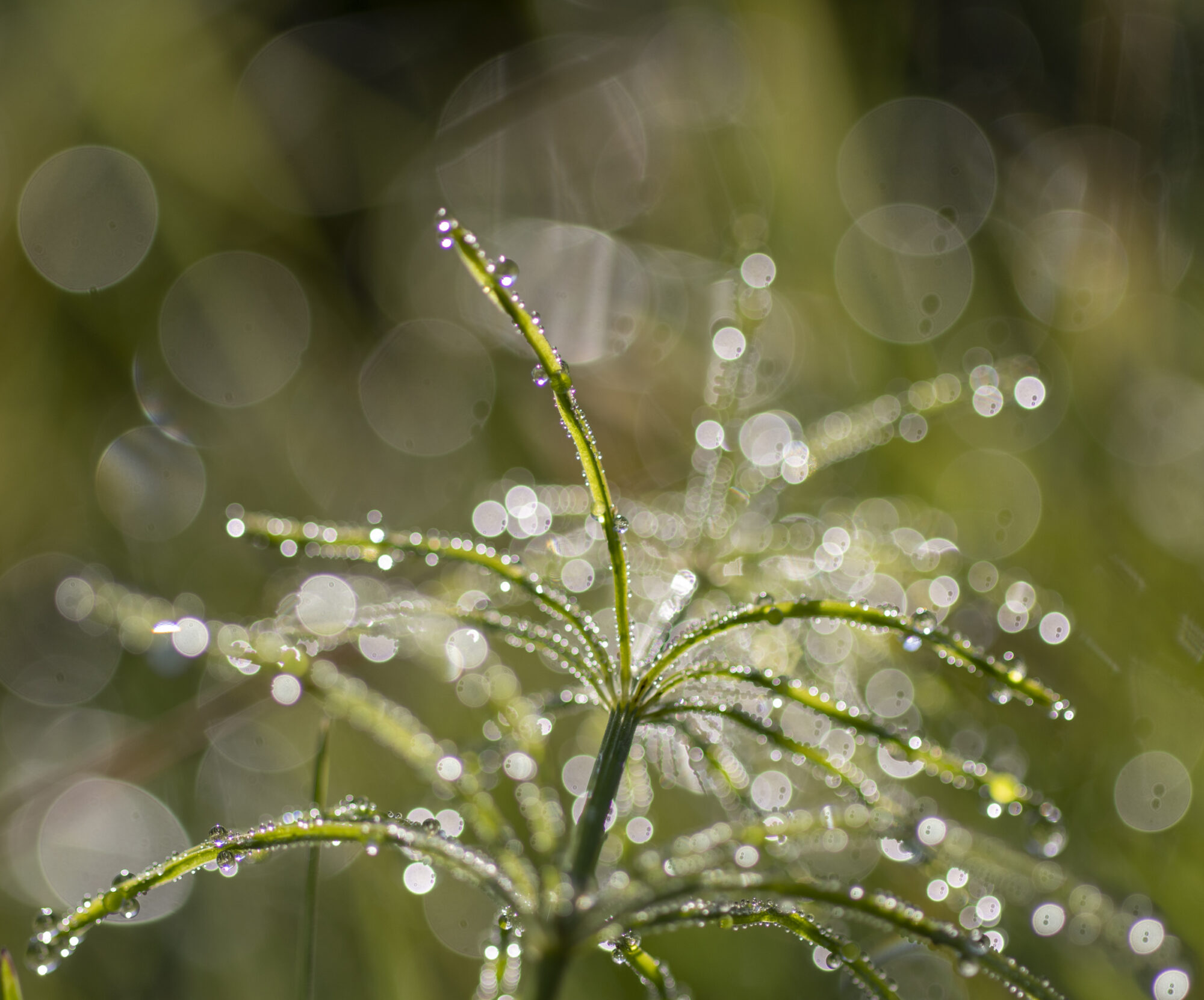 Valokuvaaja: Hannu Tikkanen