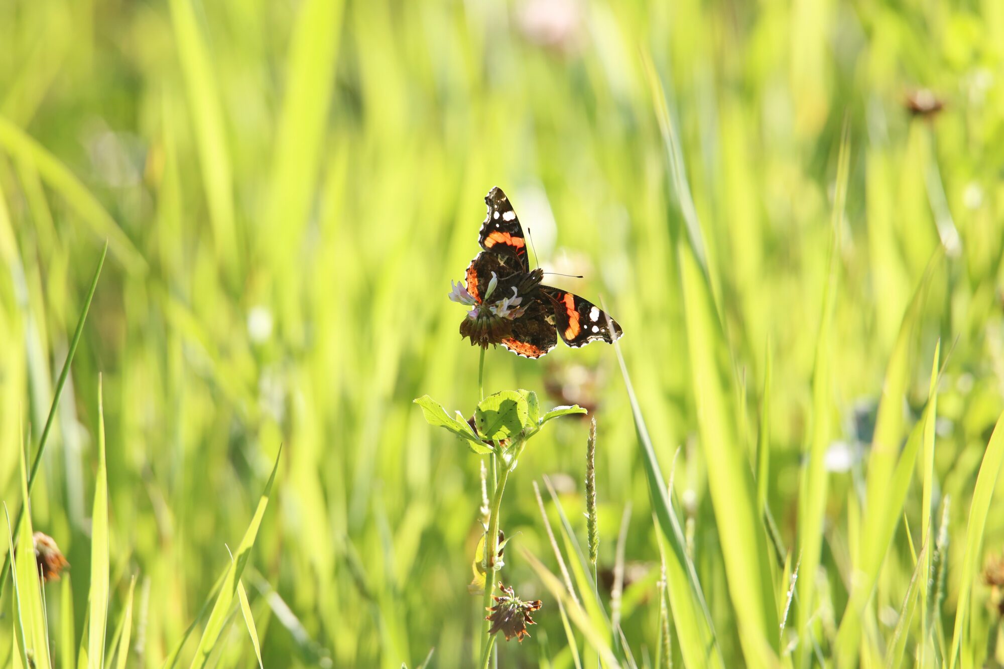 Valokuvaaja: Jaana Saarelainen Valokuvaaja: Jaana Saarelainen
